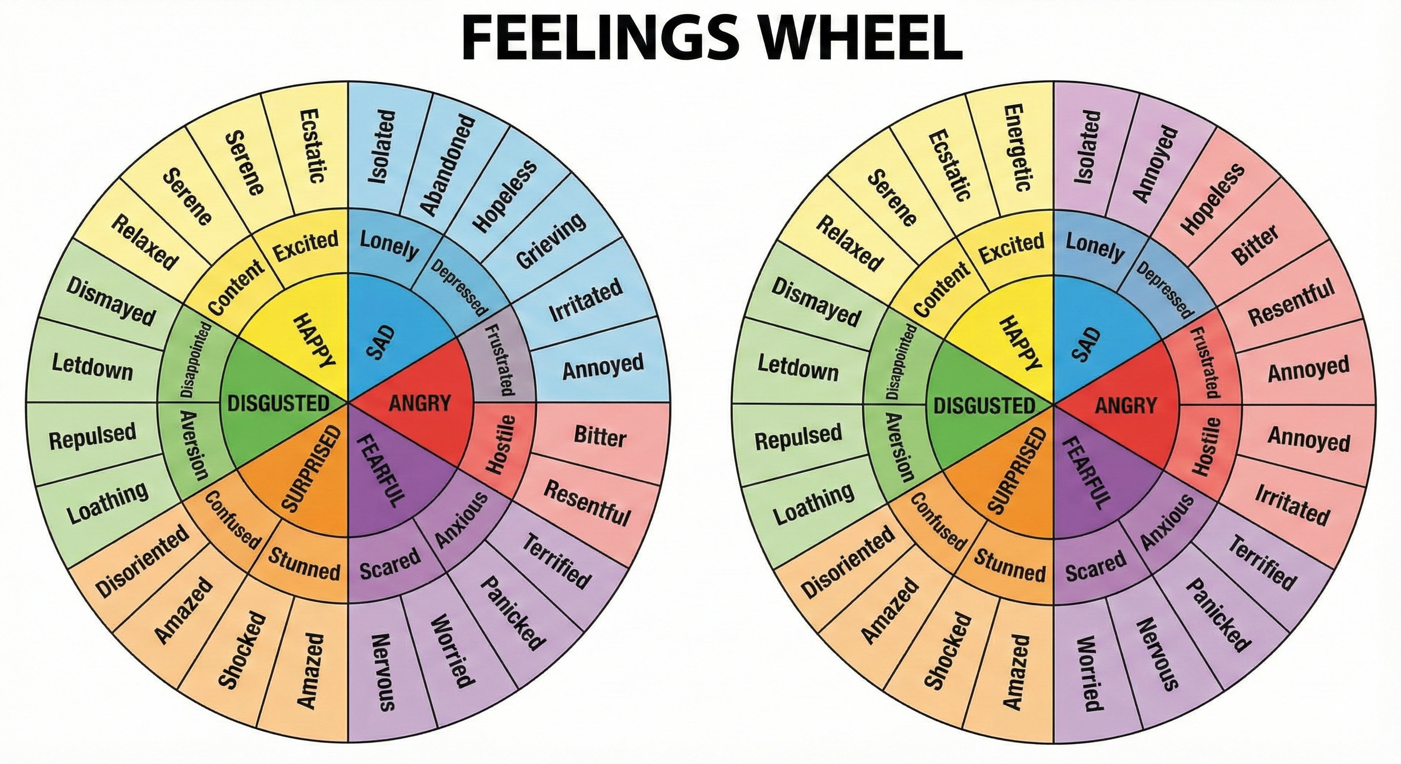 The Feelings Wheel
